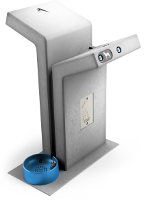 ברזיית אביב עם שוקת לכלבים